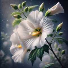 Diana Rose of Sharon white flowers Hibiscus Syriacus with trumpet-shaped blooms and yellow stamens