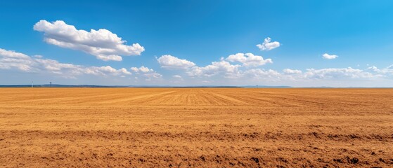 Fototapeta premium An expansive landscape features golden fields under a bright blue sky, dotted with fluffy clouds, evoking tranquility and the beauty of nature.