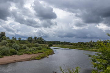 Fototapeta premium summer landscape on the river Bank, cloudy day. Kaluga region, Russia
