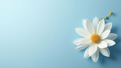 A stylized flower is placed against a soothing blue background, leaving ample negative space for elegant feminine design elements to be layered._00002_