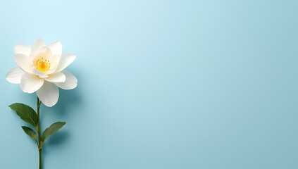 Obraz premium A stylized flower is placed against a soothing blue background, leaving ample negative space for elegant feminine design elements to be layered._00001_