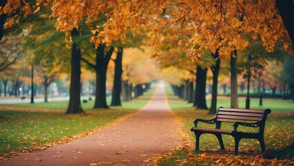 Naklejka premium A serene autumn park pathway adorned with vibrant yellow and orange leaves, showcasing a black bench in a tranquil nature setting, perfect for relaxation and outdoor walks.