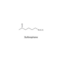 Sulforaphane skeletal structure diagram.Plant alkaloid compound molecule scientific illustration.