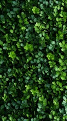 Fototapeta premium Lush Green Leaf Texture Nature Background Botanical Foliage Greenery Plant Seamless