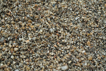 Close-up of small pebbles and stones on the beach with a textured surface and natural gray and brown tones