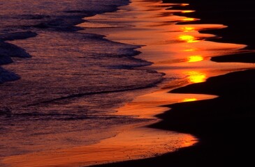 夕日を映す海
