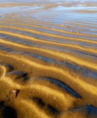abstract texture of sand in the beach, closeup of photo