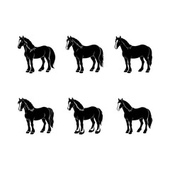 set of majestic horse silhouette, black and white silhouette, vector and illustration