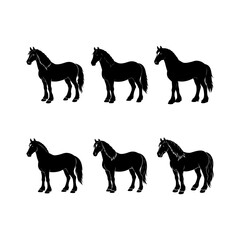 set of majestic horse silhouette, black and white silhouette, vector and illustration