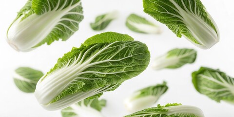 Obraz premium Floating Chinese Cabbages Isolated on White Background