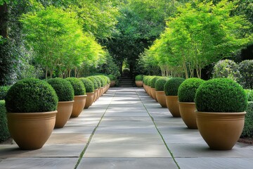 Fototapeta premium Tranquil Garden Oasis Featuring Harmonious Stone Pathways and Lush Greenery for Ultimate Relaxation.