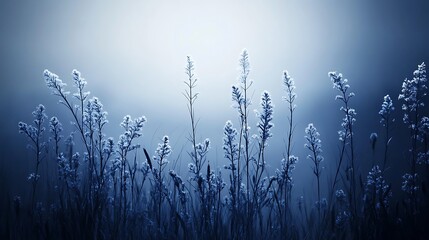 Silhouettes of tall flowers and grasses outlined faintly in white, against a smooth black-to-deep-blue gradient background, soft ambient lighting, hd quality, mystical and minimalist. --ar 16:9