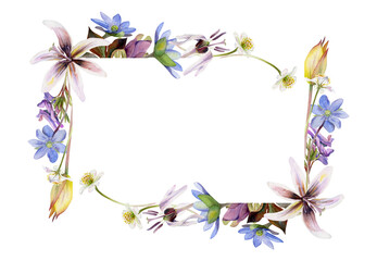 Spring flowers, trout lily, yellow tulip, blue hepatica forget-me-not, white forest anemone, purple corydalis hand drawn in watercolor. Border frame illustration for wedding, florist shop, stationery