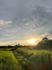 Obraz premium sunset over the river