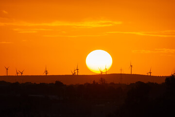 sunset behind the wind turbines in the Essaouira region in Morocco