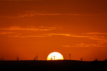 sunset behind the wind turbines in the Essaouira region in Morocco