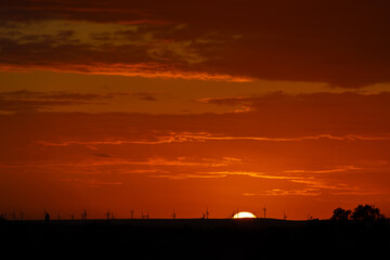 sunset behind the wind turbines in the Essaouira region in Morocco