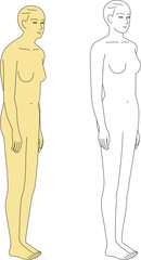 猫背の女性ときれいな立ち姿の女性.　斜め前の全身のイラスト