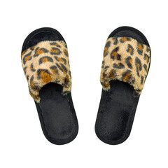 Home women's soft slippers with leopard print. Isolated on a white background. Beauty and fashion