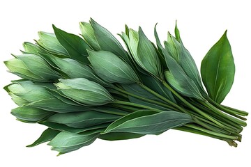 Green cardamon pods isolated on white background