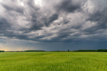 Grosse tempête en préparation avec ciel nuageux menaçant et bas sur l'horizon des champs