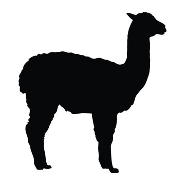 black alpaca silhouette standing profile clip art preview