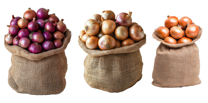 Set of Burlap sacks filled with red and golden onions isolated on transparent background