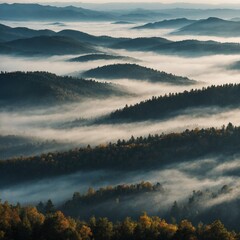 Mountains Covered in Morning Mist