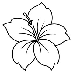 black and white flower