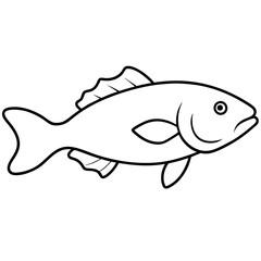 fish isolated on white