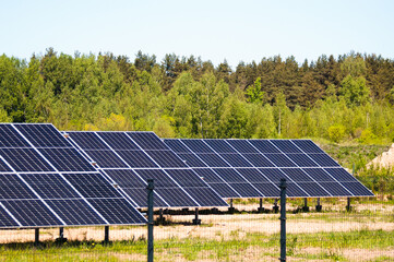 solar panels in a field, green forest in the background