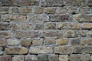 The photo shows an old brick wall close-up