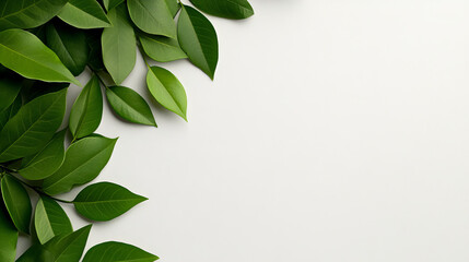 Green Leaves Border: A cluster of fresh, vibrant green leaves gracefully frames the left side of the image, creating a natural border against a clean, minimalist background.