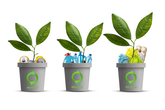 Lot of different trash cans. With a recycling icon, and green sprout. Isolated on a white background. Garbage sorting. Ecology. Garbage