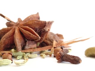 Indian spices isolated over white background. Star anise,fennel seeds,cinnamon,cloves,cardamom and cous cous placed over white backdrop. Image of indian spices. Display image for aromatic fresh spices