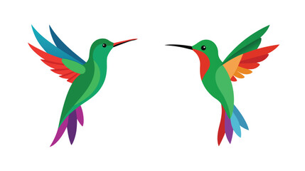 hummingbirds vector illustration