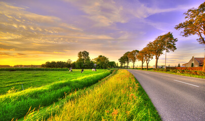 A pastoral landscape with some cows in a rural area of The Netherlands.