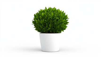 Sphere of Green: Lush, vibrant green topiary in a simple white pot. Perfect for adding a touch of nature to any space. 