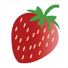 strawberry vector  Illustration