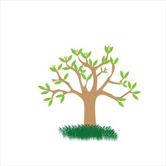 Vector  of tree side view isolated on white background for landscape and architecture drawing, elements for environment and garden, painting