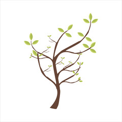 Vector  of tree side view isolated on white background for landscape and architecture drawing, elements for environment and garden, painting