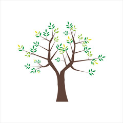 Fototapeta premium Vector of tree side view isolated on white background for landscape and architecture drawing, elements for environment and garden, painting