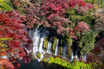 静岡県富士宮市　紅葉の白糸の滝