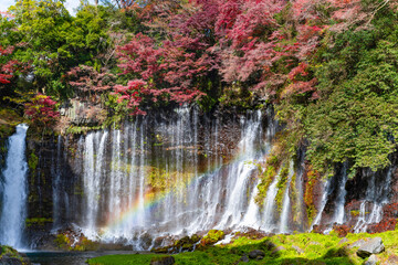 Fototapeta premium 静岡県富士宮市 紅葉の白糸の滝