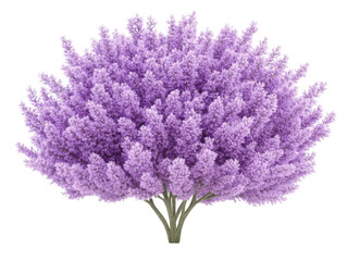 Fototapeta premium Enchanting purple tree, a breathtaking display of nature's vibrant hues and majestic foliage