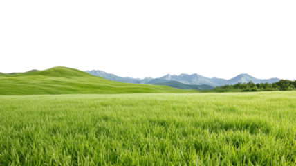 A serene landscape featuring lush green fields and distant mountains against a dark sky, creating a tranquil and picturesque scene.