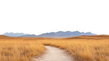 A serene pathway leads through golden grasslands toward distant mountains under a dramatic black sky.