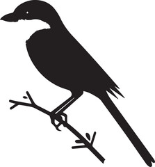 Southern grey shrike bird silhouettes Vector