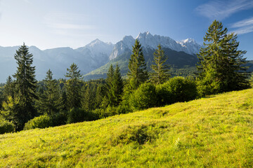 Blick über Grainau zum Waxenstein, Wettersteingebirge, Grainau, Werdenfelser Land, Bayern,...