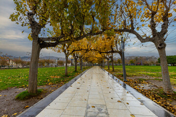Autumn view of tree-lined avenue in Konak Square in Izmir - Türkiye.